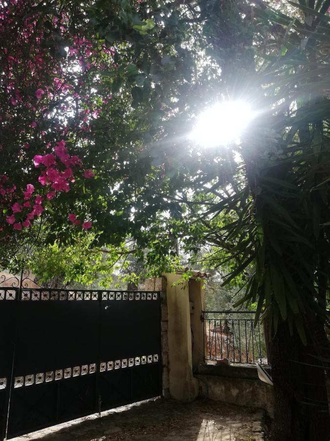 Olea Home Agia Pelagia Chlomou Экстерьер фото