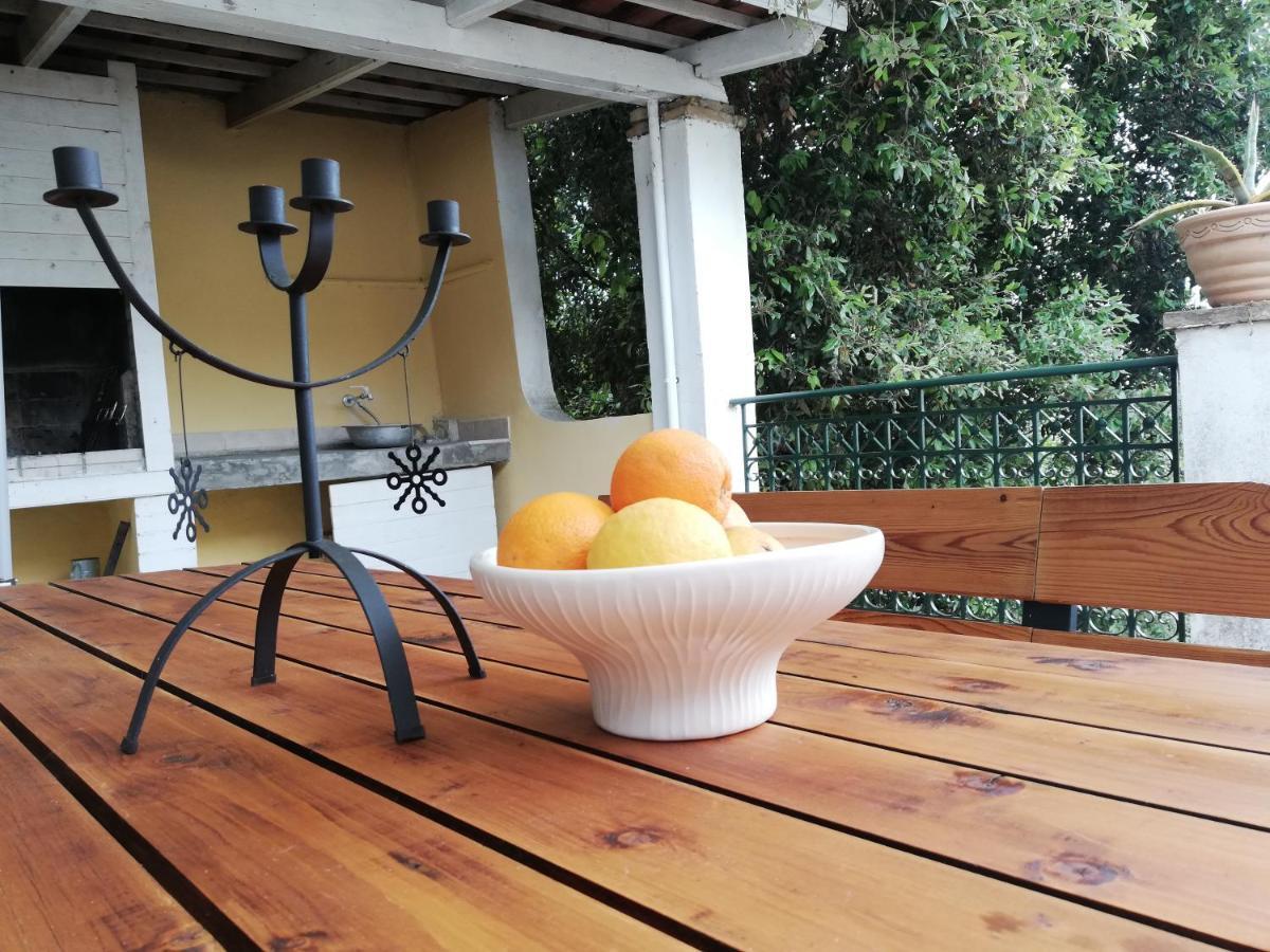 Olea Home Agia Pelagia Chlomou Экстерьер фото
